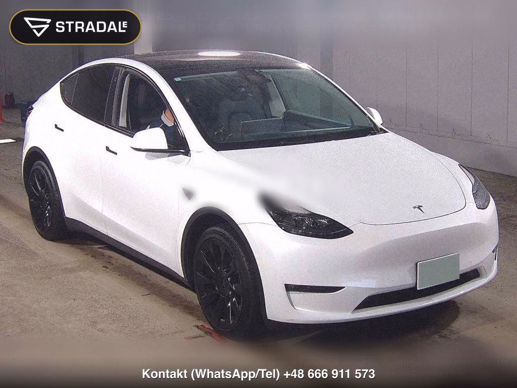 TESLA MODEL Y 4WD LONG RANGE, miniaturka 2