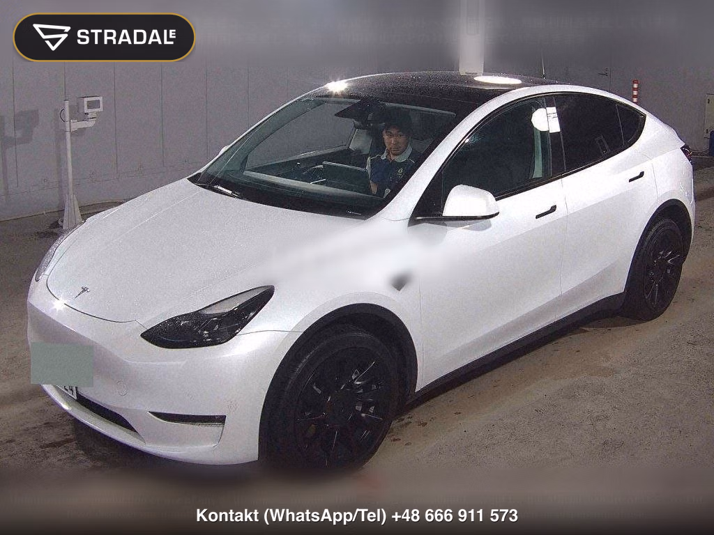 TESLA MODEL Y 4WD LONG RANGE, miniaturka 5