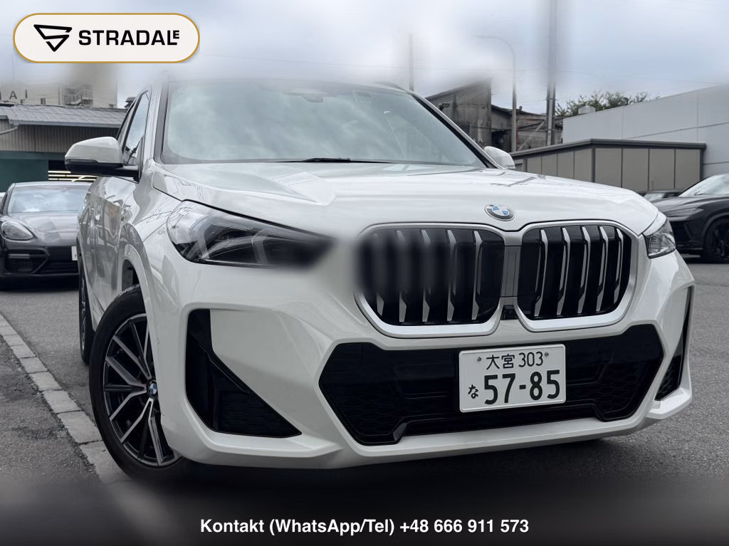 BMW X1 4WD XDRIVE 20D M-SPORT, miniaturka 10
