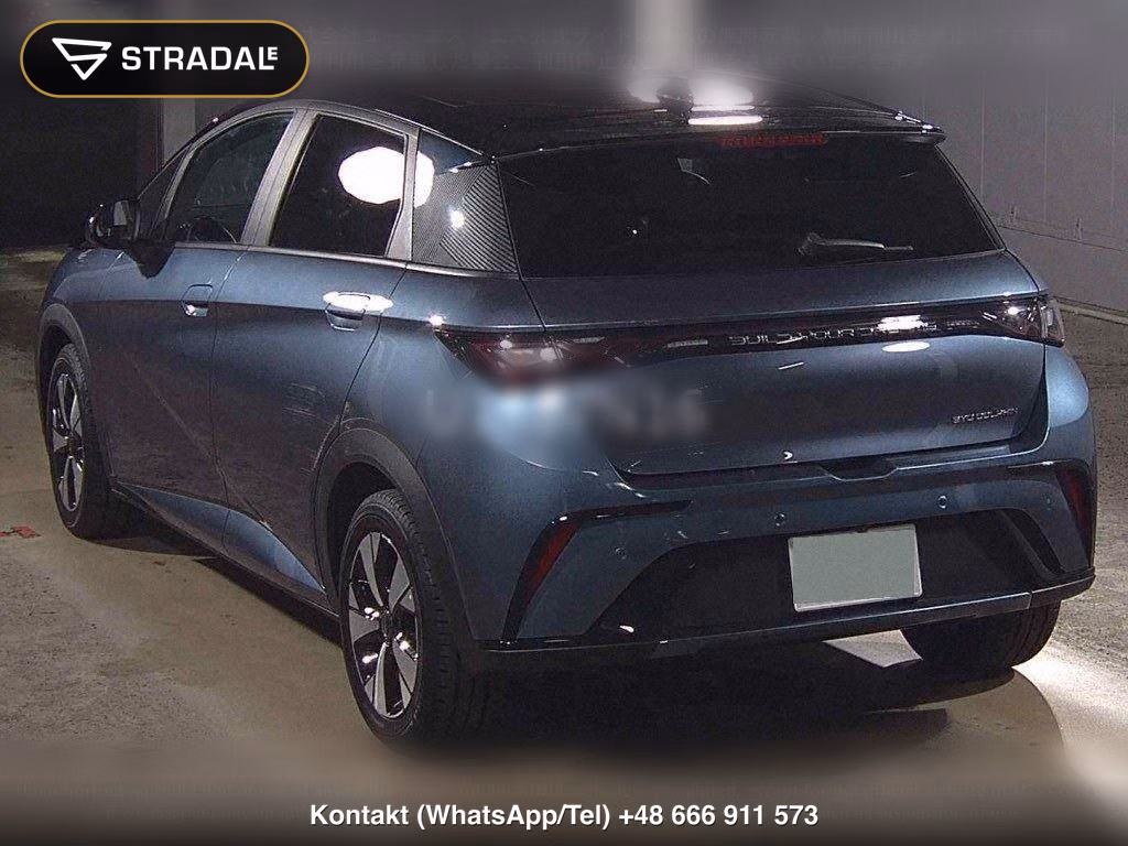 BYD DOLPHIN LONG RANGE, miniaturka 3