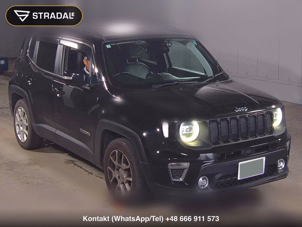 CHRYSLER JEEP JEEP RENEGADE LIMITED 2019, aukcja z Japonii, zdjęcie 1