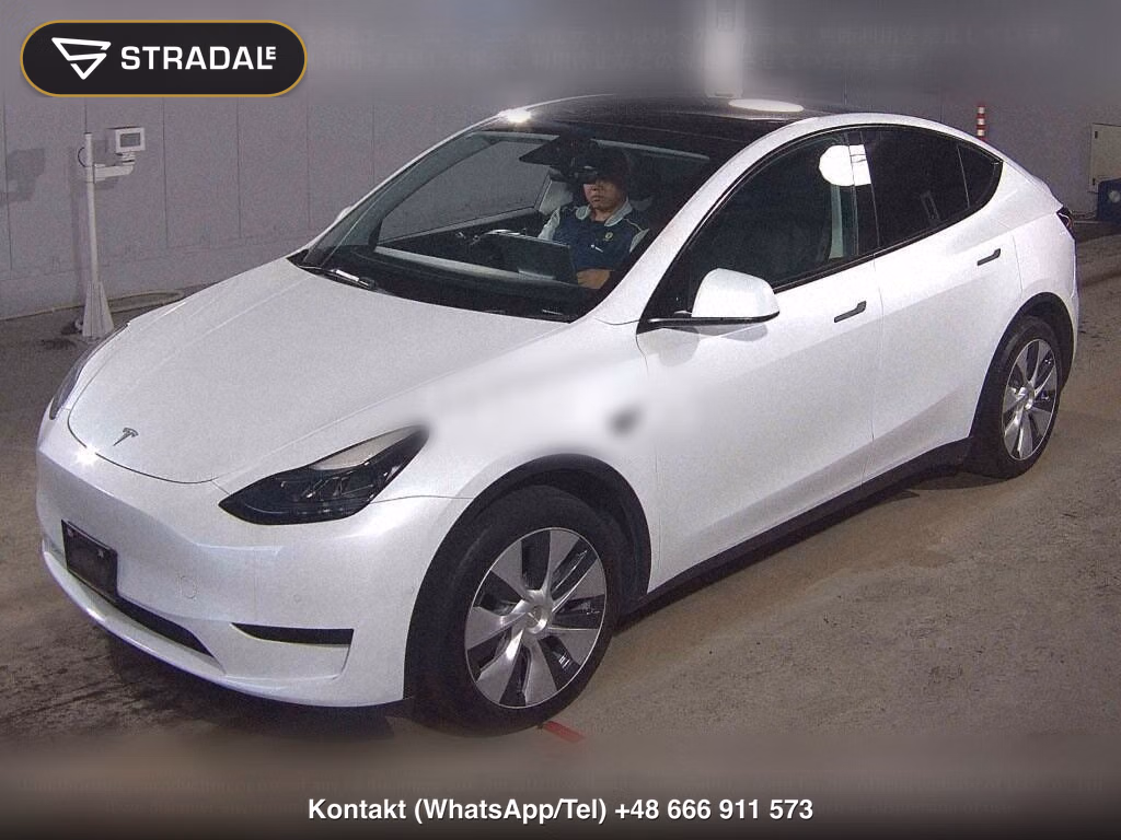 TESLA MODEL Y RWD, miniaturka 5