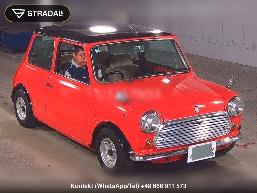 ROVER MINI 2D, miniaturka 2